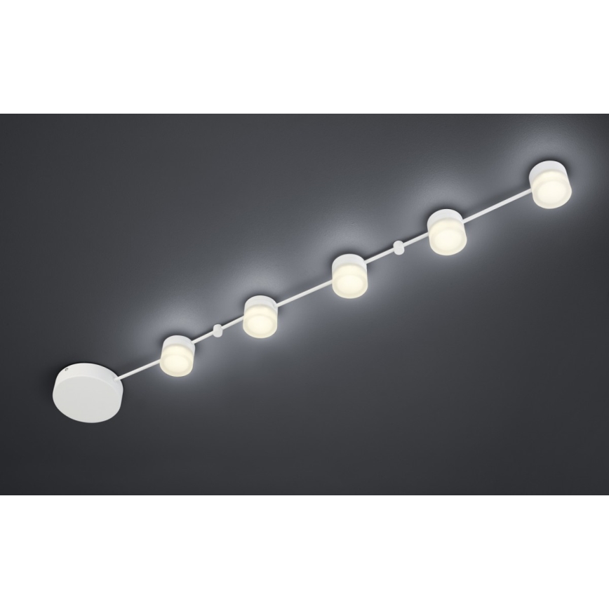 Trio - LED Dimmable ceiling light NASHVILLE 5xLED/3W/230V