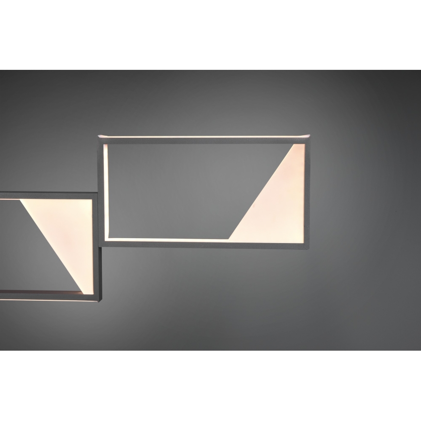 Trio - LED Dimmable chandelier on a string CAFU 4xLED/7W/230V