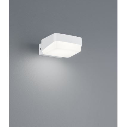 Trio - LED Outdoor wall light JUBA LED/10W/230V IP65