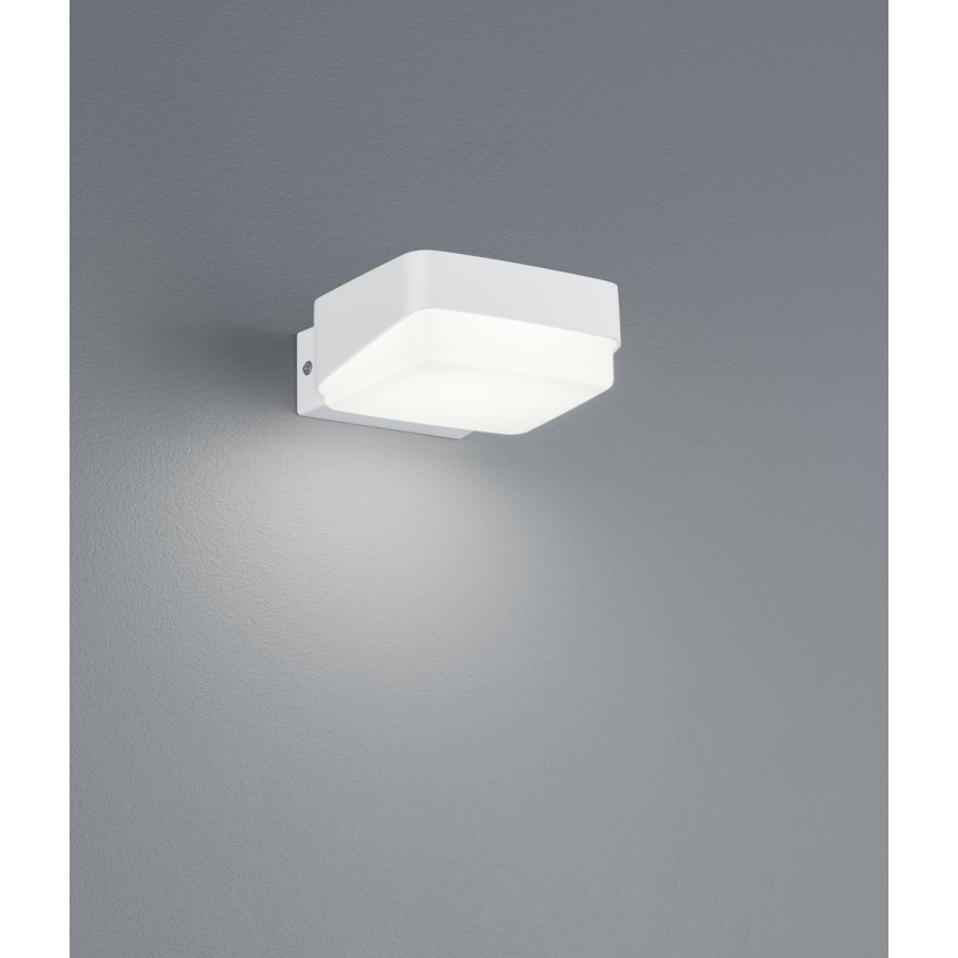 Trio - LED Outdoor wall light JUBA LED/10W/230V IP65