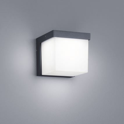 Trio - LED Outdoor wall light YANGTZE LED/4,5W/230V IP54 3000K