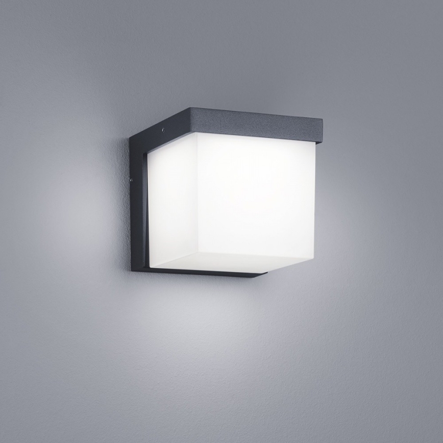 Trio - LED Outdoor wall light YANGTZE LED/4,5W/230V IP54 3000K