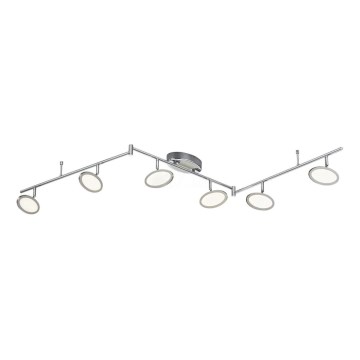 TRIO - LED Spotlight DUELLANT 6xLED/4,3W/230V 3000K
