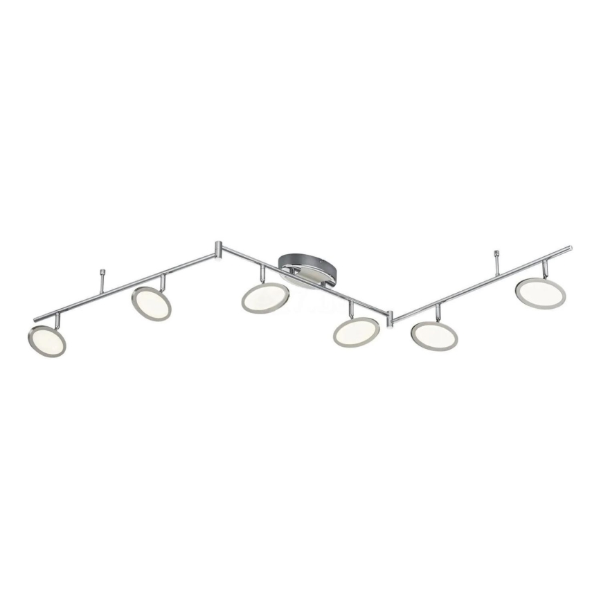 TRIO - LED Spotlight DUELLANT 6xLED/4,3W/230V 3000K