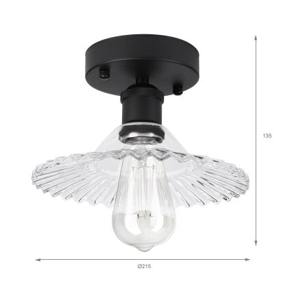 TRISH Surface-Mounted Chandelier 1xE27/15W/230V Black/Clear