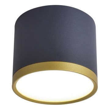 TUBA LED Spotlight 9W/230V Black/Gold
