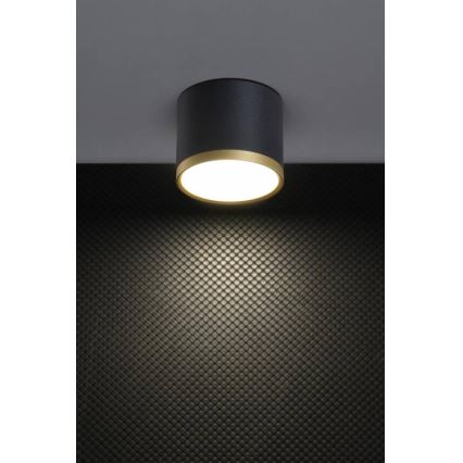 TUBA LED Spotlight 9W/230V Black/Gold