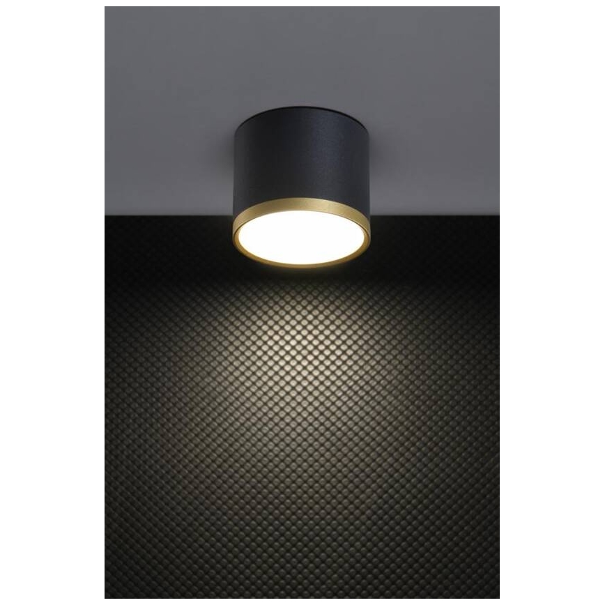 TUBA LED Spotlight 9W/230V Black/Gold