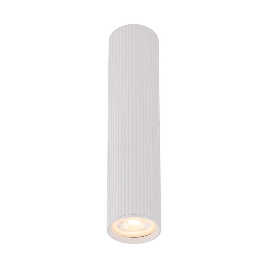 TUNE L Spot Light 1xGU10/10W/230V, 24 cm, White