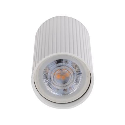 TUNE S spotlight 1x GU10/10W/230V, 10 cm, white