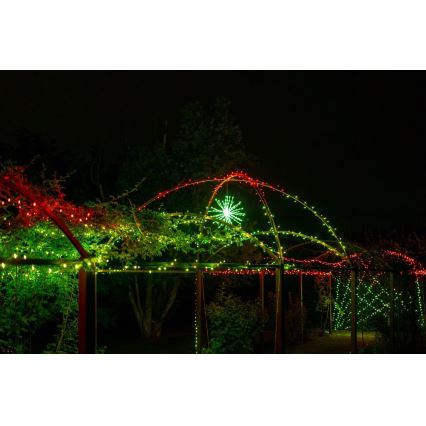 Twinkly - LED RGB Dimmable outdoor poinsettia SPRITZER 200xLED IP44 Wi-Fi