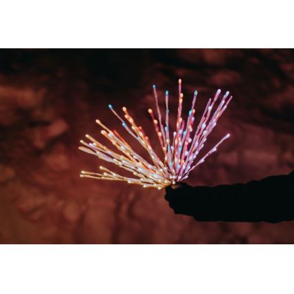 Twinkly - LED RGB Dimmable outdoor poinsettia SPRITZER 200xLED IP44 Wi-Fi