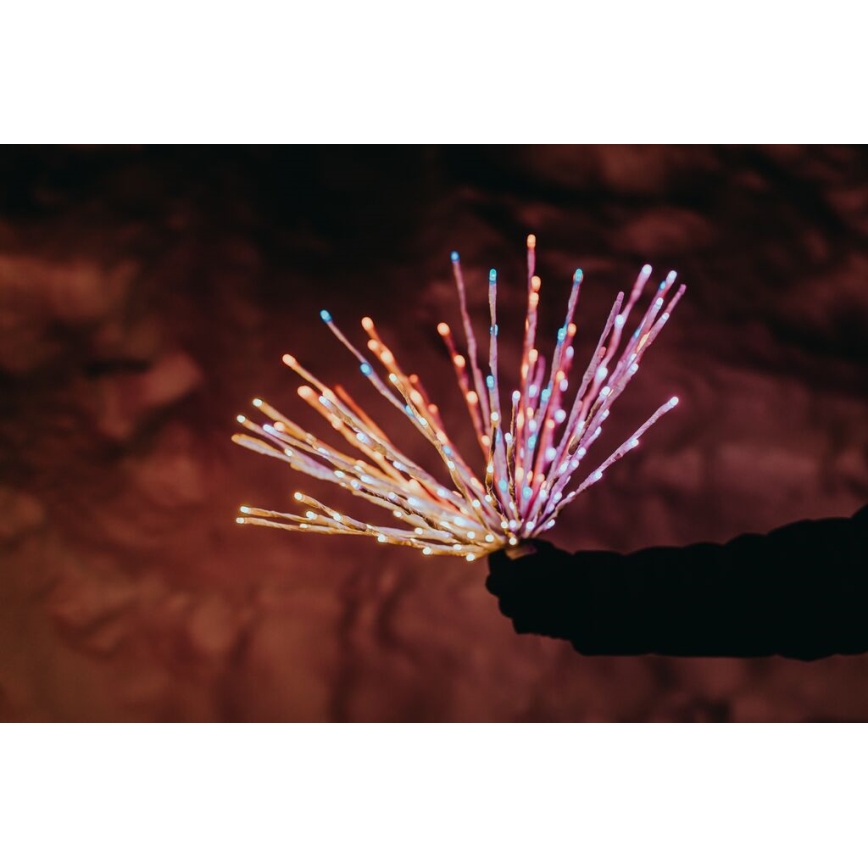 Twinkly - LED RGB Dimmable outdoor poinsettia SPRITZER 200xLED IP44 Wi-Fi