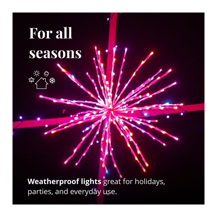 Twinkly - LED RGB Dimmable outdoor poinsettia SPRITZER 200xLED IP44 Wi-Fi