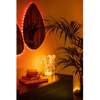 Twinkly - DOTS RGB LED Dimmable Christmas String Lights, 60 LEDs, 7 m, USB, Wi-Fi