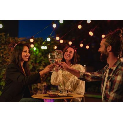 Twinkly - LED RGB Dimmable outdoor decorative chain FESTOON 20xLED 14m IP44 Wi-Fi
