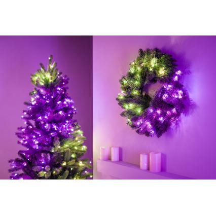 Twinkly - LED RGB Dimmable Christmas wreath PRE-LIT WREATH 50xLED d. 61cm Wi-Fi