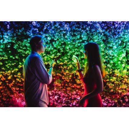 Twinkly - LED RGBW Dimmable outdoor Christmas chain STRINGS 600xLED 51,5m IP44 Wi-Fi