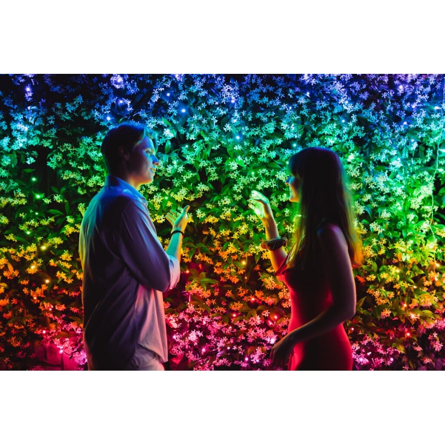 Twinkly - LED RGBW Dimmable outdoor Christmas chain STRINGS 600xLED 51,5m IP44 Wi-Fi