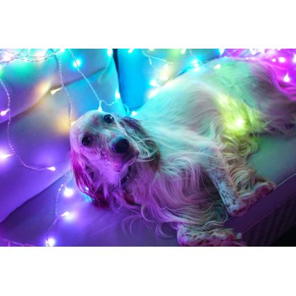 Twinkly - LED RGBW Dimmable outdoor Christmas curtain CURTAIN 210xLED 6,1m IP44 Wi-Fi
