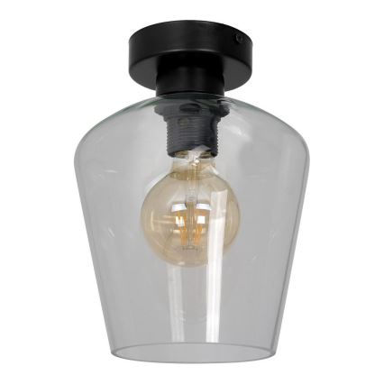 Universal replacement glass SANTIAGO E27 d. 18 cm clear