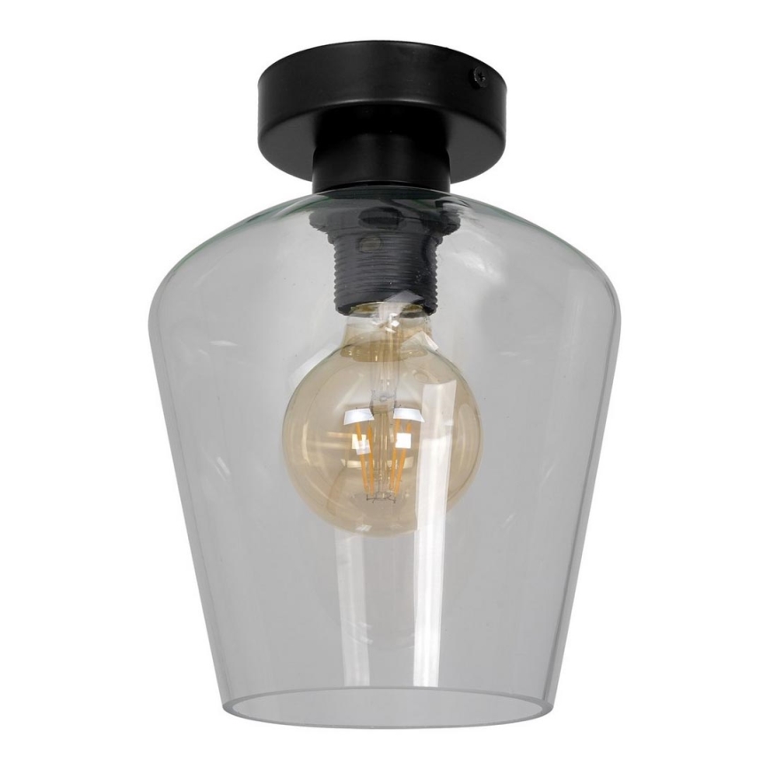 Universal replacement glass SANTIAGO E27 d. 18 cm clear