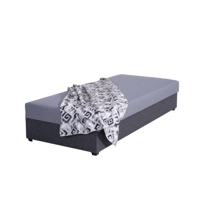 Upholstered day bed with a storage space JACOB XL load capacity 130 kg 90x200 cm grey