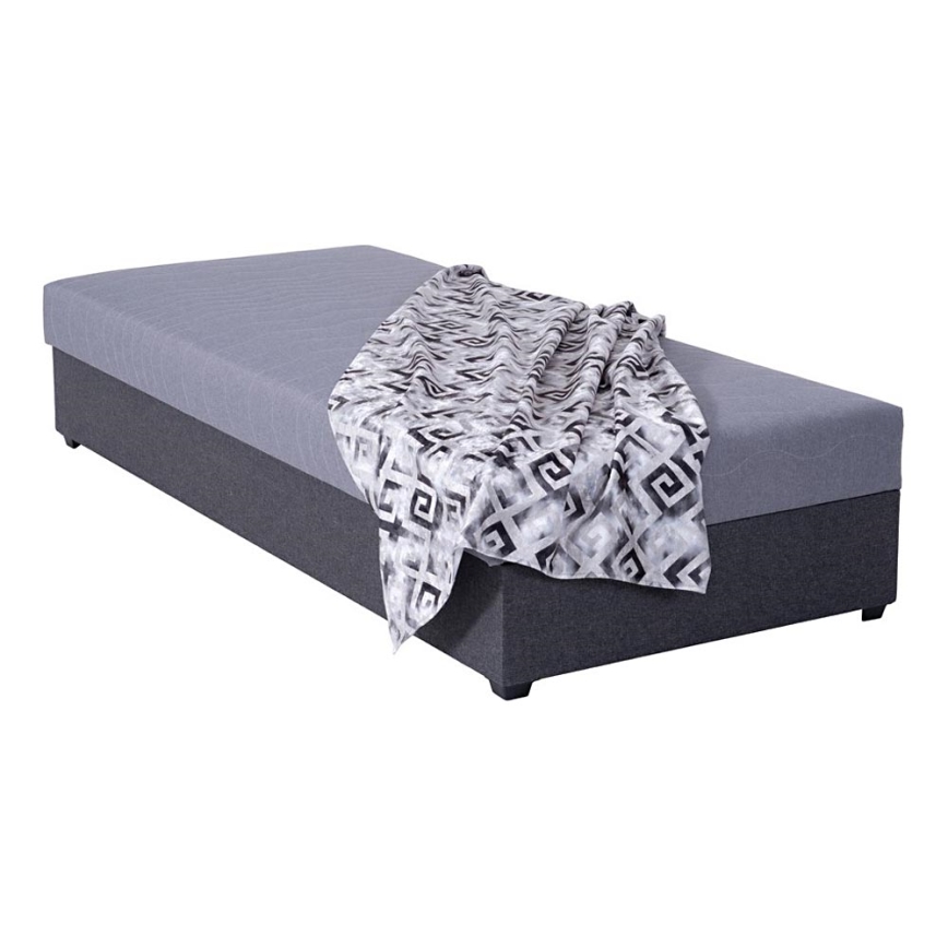 Upholstered daybed with storage compartment JACOB XL, 130 kg weight capacity, 90 x 200 cm, grey