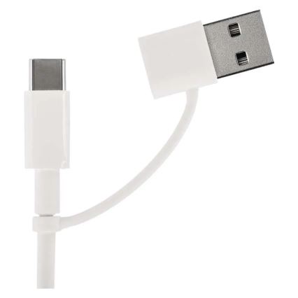 USB GaN Travel Adapter with Interchangeable Plugs, 100–250 V