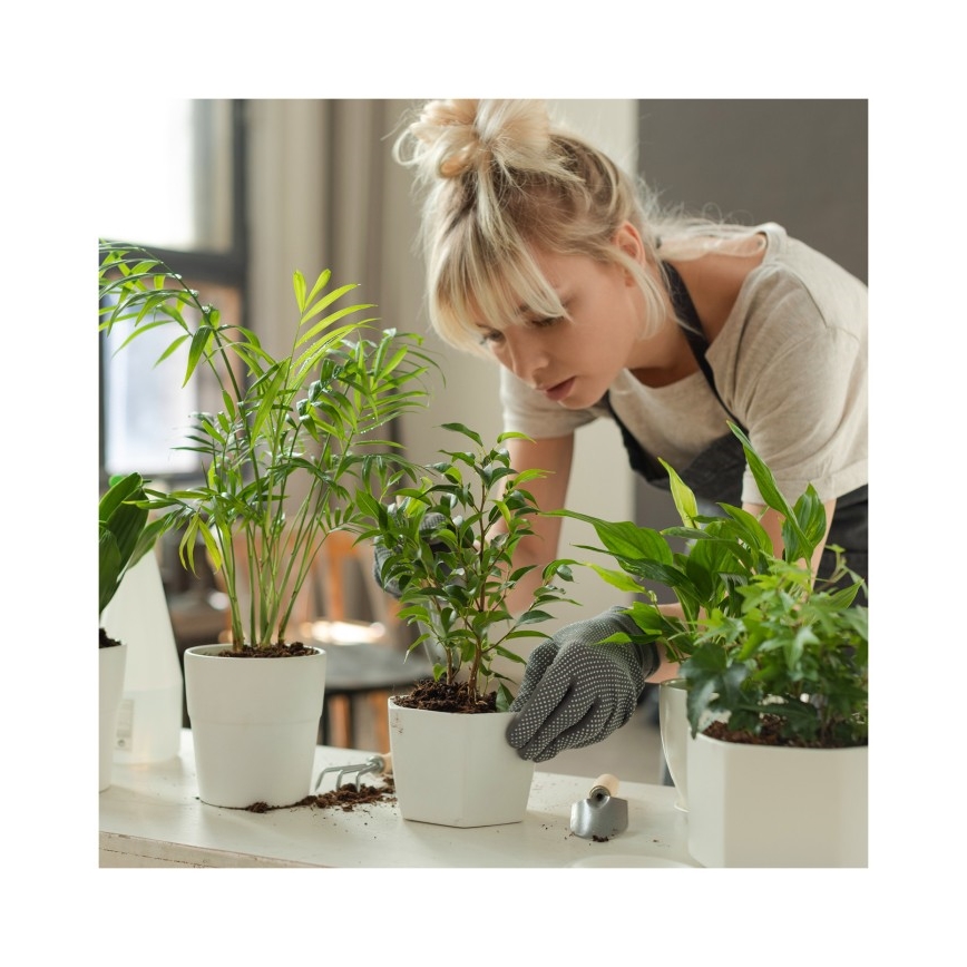 Dimmable LED Desk Lamp for Growing Plants VERDI LED/5W/5V 1300K CRI 95 černá