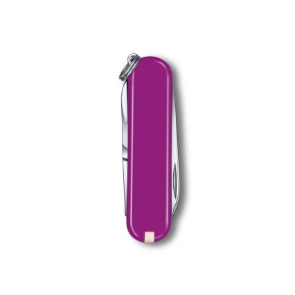 Victorinox - Multifunctional pocket knife CLASSIC SD 5,8 cm/7 functions purple