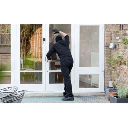 Video doorbell with motion sensor Full HD 1080p IP65 Wi-Fi white + speaker