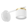 Wall lamp 1xGX53/35W/230V white/gold