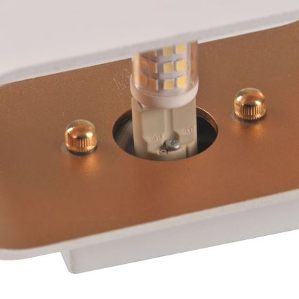 Wall light ELISSA 1xG9/10W/230V white