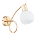Wall light ERYKA 1xE14/10W/230V gold