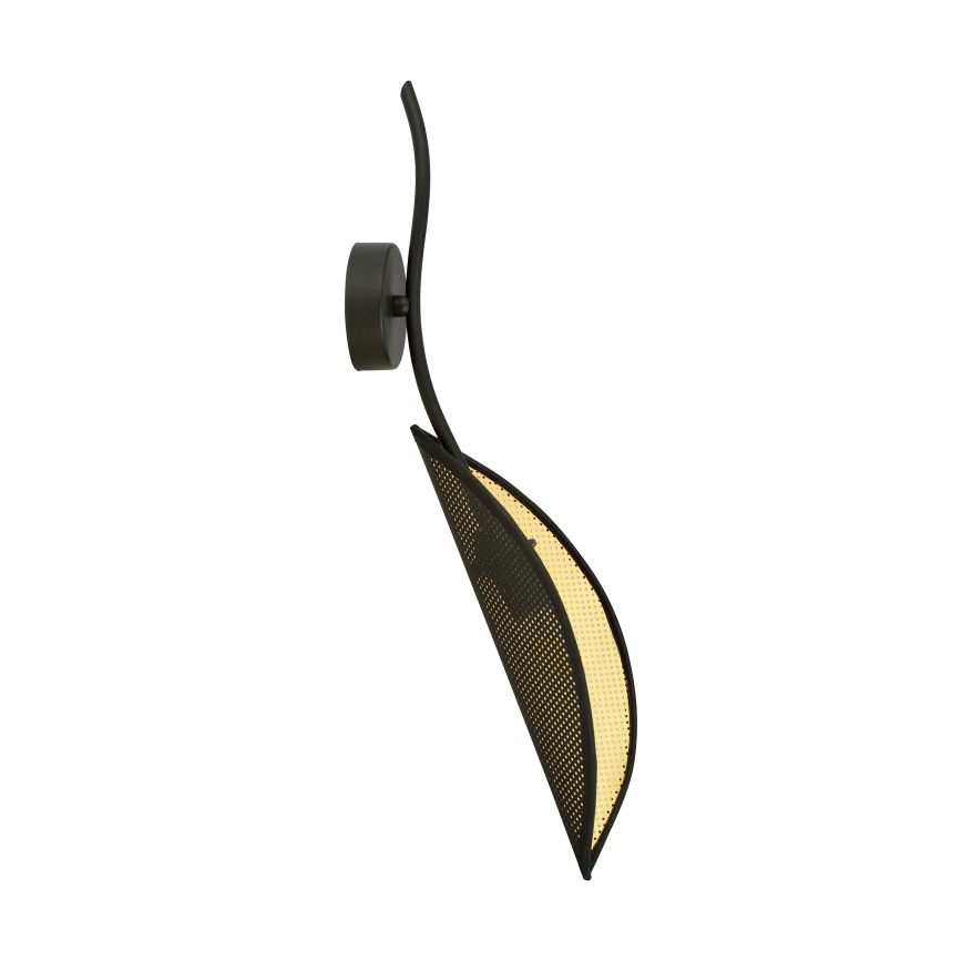 Wall light LOTUS 1xE14/10W/230V black/gold