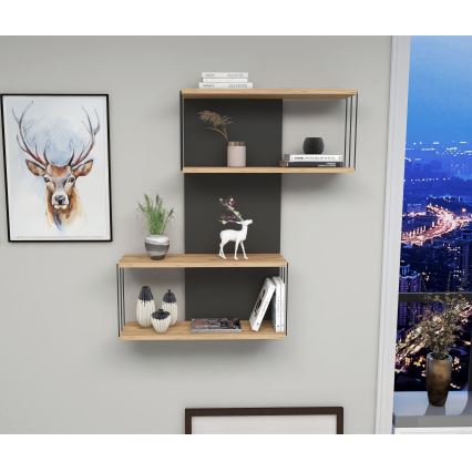 Wall-mounted shelf DESTAN 65x96x19 cm anthracite/brown