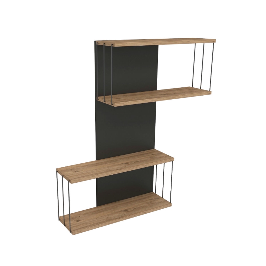Wall-mounted shelf DESTAN 65x96x19 cm anthracite/brown