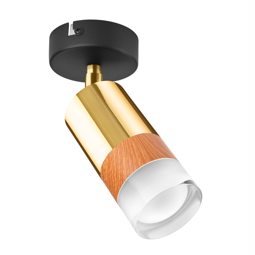 Wall spotlight AURORA 1xGU10/10W/230V