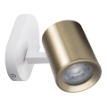 Wall spotlight LAURIN 1xGU10/10W/230V brass/white