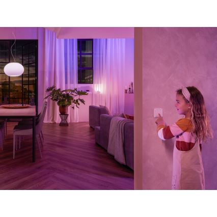 Wall switch module Philips Hue SWITCH