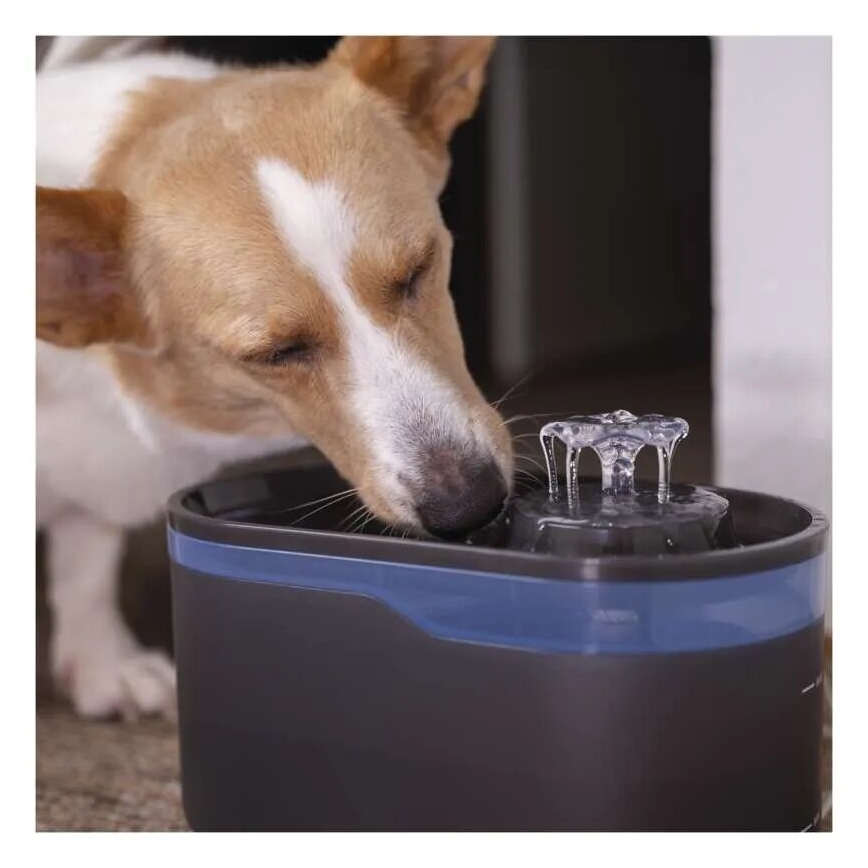 Water fountain for pets 2,6 l/5V grey