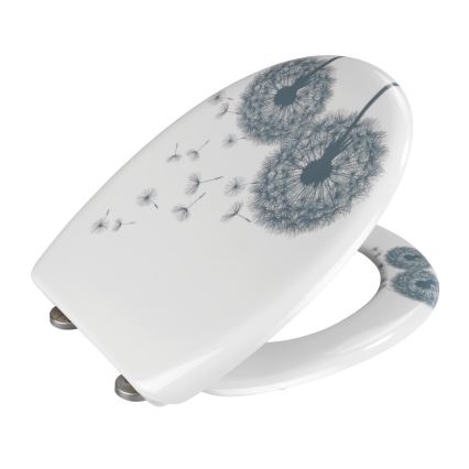 WENKO 22409100-WC ASTERA Toilet Seat 45 x 38 cm, Multicolored/Silver