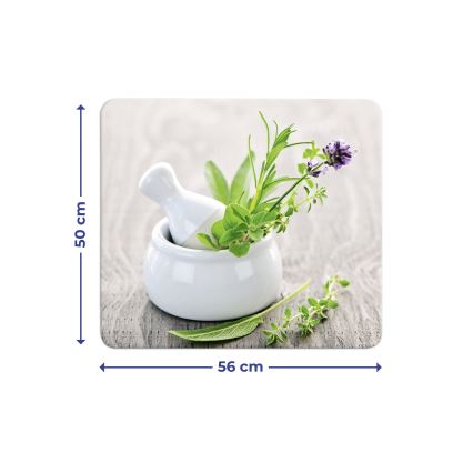 WENKO 2712940500 - Food-Safe Cover Plate, 56 x 50 cm, Multicolored/Clear