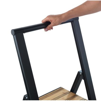 WENKO 50482100 - ALU-DESIGN Step Ladder 44x101 cm Black