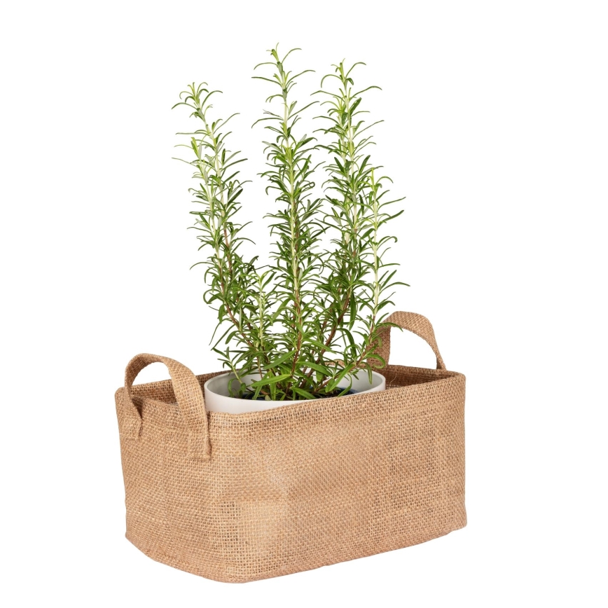 WENKO 64471100 - JUNA basket 24x17 cm brown
