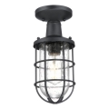 Westinghouse 6113140 - Outdoor ceiling light CRESTVIEW 1xE27/60W/230V IP44