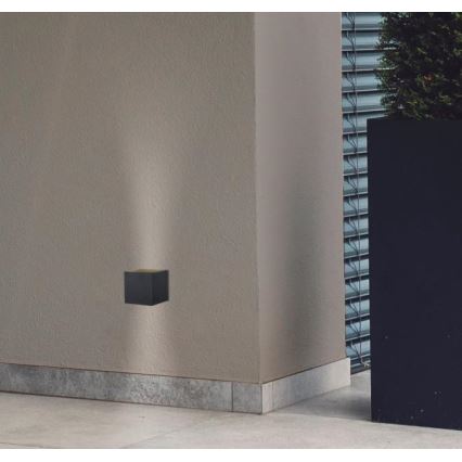 Westinghouse 61149 - LED Outdoor wall light FREYA 2xLED/4,5W/230V IP44 black