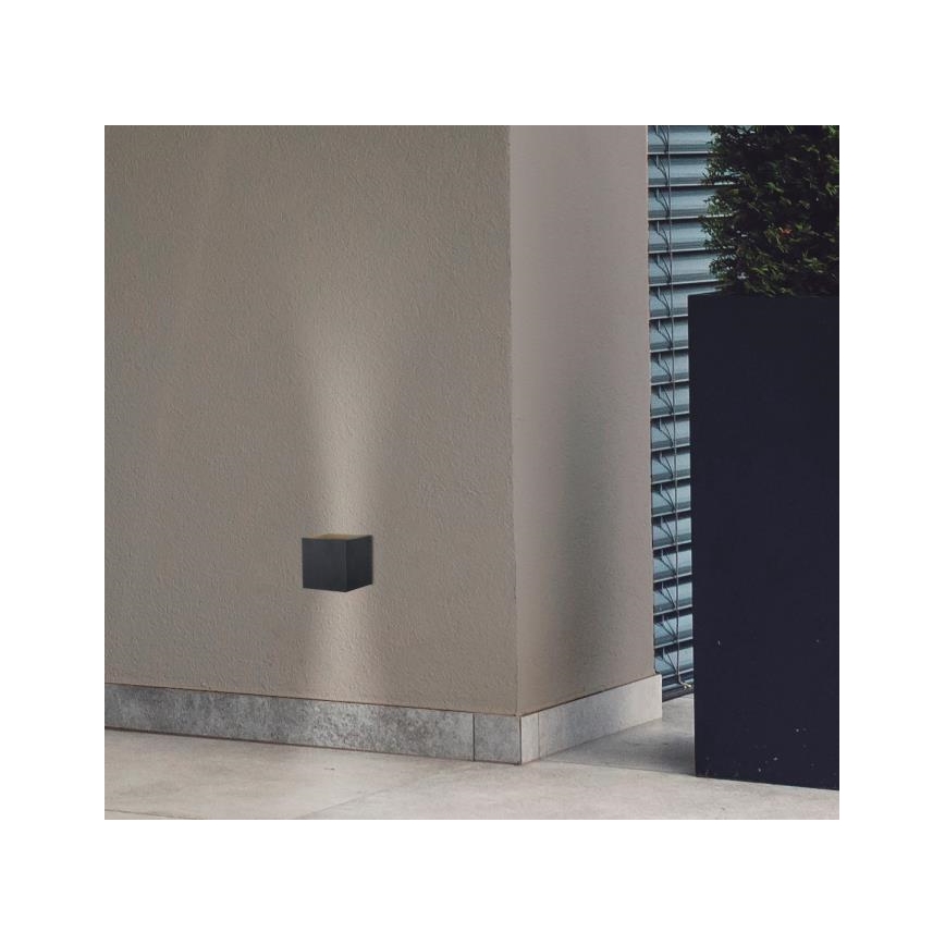 Westinghouse 61149 - LED Outdoor wall light FREYA 2xLED/4,5W/230V IP44 black