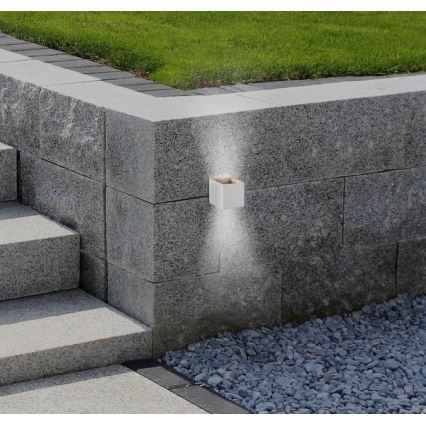 Westinghouse 61150 - LED Outdoor wall light FREYA 2xLED/4,5W/230V IP44 white